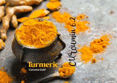 Turmeric – Curcuma Gold