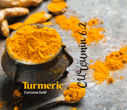 Turmeric – Curcuma Gold