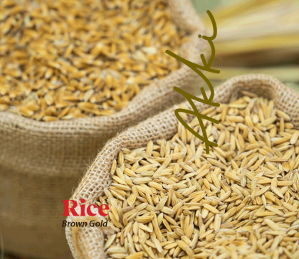 Rice – Brown Gold