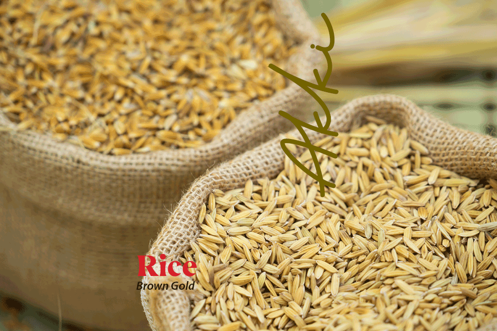 Rice – Brown Gold