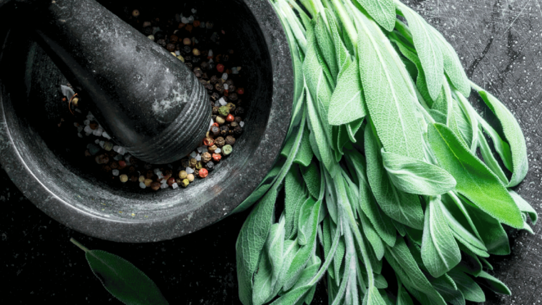 Traditional Processing Practices – The Green Stories